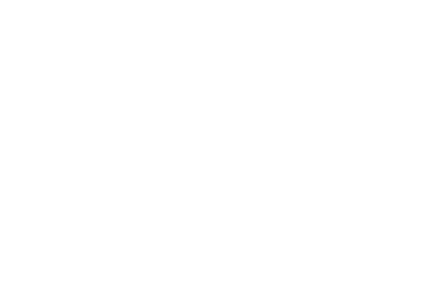 ElderBirch Consulting & Services